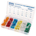 Draper Standard Automotive Plug-In Fuse Assortment (120 Piece) 56381 Draper - Town Tools 