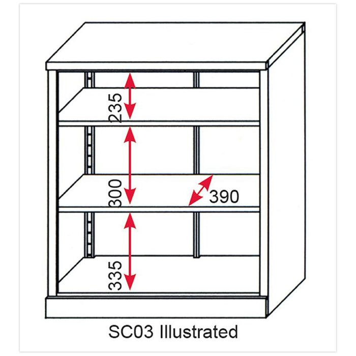 Sealey Floor Cabinet 2 Shelf 2 Door SC03 Sealey - Town Tools 