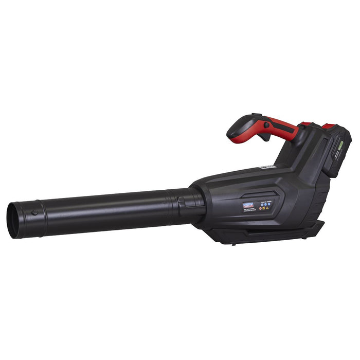 Sealey SV20 Series Cordless Blower 40V - Body Only CP40VB Sealey - Town Tools 