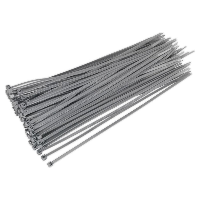 Sealey Cable Tie 300 x 4.4mm Silver Pack of 100 CT30048P100S Sealey - Town Tools 