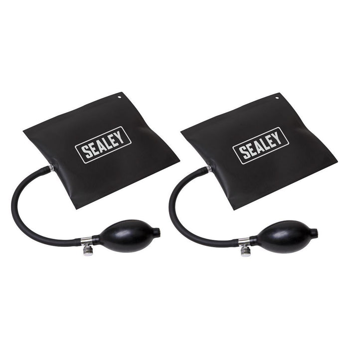 Sealey Panel Bag Set 2pc VS9112 Sealey - Town Tools 