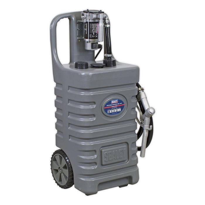Sealey Mobile Dispensing Tank 55L with Diesel Pump Grey DT55GCOMBO1 Sealey - Town Tools 