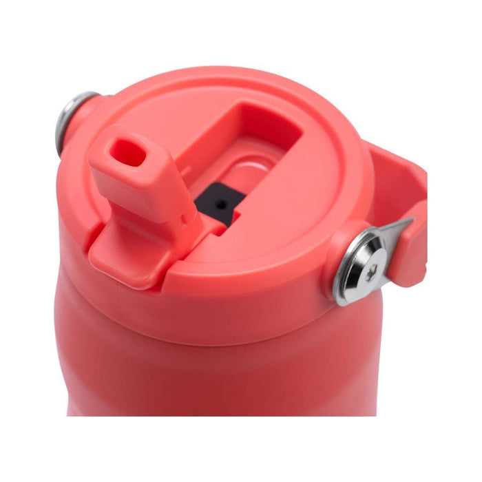 Stanley IceFlow Bottle Flip Straw 2.0 0.7L Stanley - Town Tools