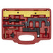 Sealey Petrol Engine Timing Tool Kit for BMW 1.8 2.0 N42/N46/N46T Chain Drive Sealey - Town Tools 