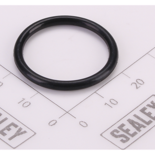 Sealey O-Ring (φ21.5 × 2.4)