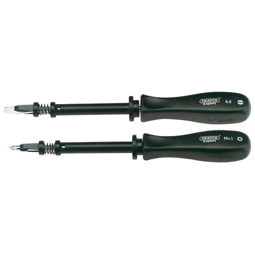 Draper Expert Screw Holding Mechanics Screwdriver Set (2 Piece) - 939SH/SET - image 1