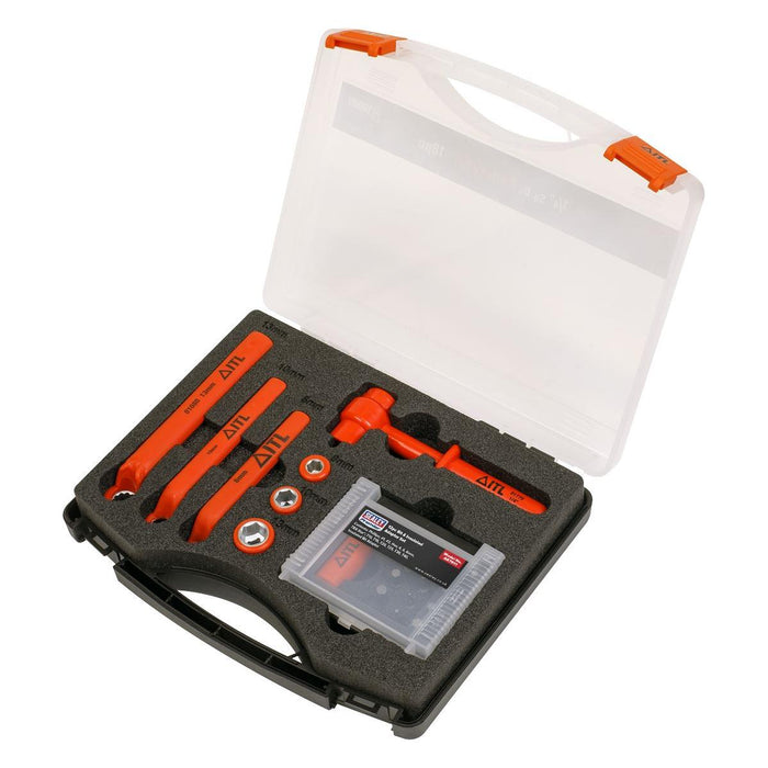 Sealey Premier Premier Hybrid & Electric Vehicle Battery Tool Kit 19pc AK7911 Sealey Premier - Town Tools 