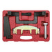 Sealey Petrol Engine Timing Tool Kit for Mercedes 1.6 1.8 M271 Chain Drive Sealey - Town Tools 