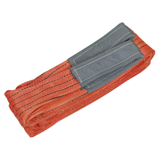 Sealey Load Sling 5 Tonne Capacity 5m LS5005 Sealey - Town Tools 