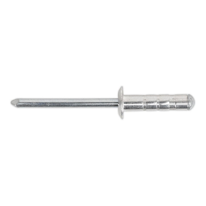Sealey Clip Strip Deal - Aluminium Rivets RVSET Sealey - Town Tools 
