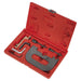 Sealey Petrol Engine Timing Tool Kit for Renault 1.4 1.6 1.8 2.0 K4J/K4M/F4P/F4R Sealey - Town Tools 