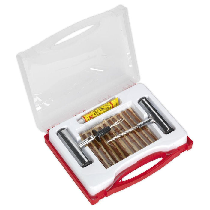 Sealey Temporary Puncture Repair Kit TST10 Sealey - Town Tools 