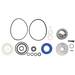 Sealey Repair Kit