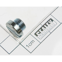 Sealey Screw 300TRQ.V2-31