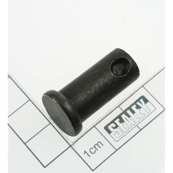 Sealey Pin