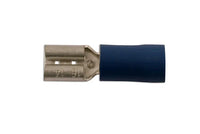 Connect Blue Female Push-On 100pc 4.8-6.3mm