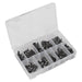 Sealey Fir Tree Clip Assortment Pack of 100 TCFT100AS Sealey - Town Tools 