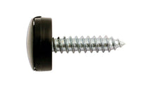 Connect Number Plate Security Screws 6 x 20mm Black Cap 100pc - CPL