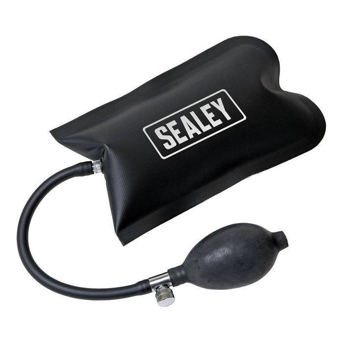 Sealey Panel Bag Set 2pc VS9111 Sealey - Town Tools 