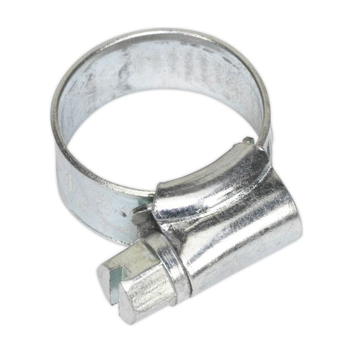 Sealey Hose Clip Zinc Plated8-14mm Pack of 30 SHC000 Sealey - Town Tools 