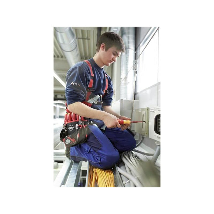 Wiha LiftUp electric Bit Magazine SL/PZ/PZS Screwdriver Set, 6 Piece Wiha - Town Tools