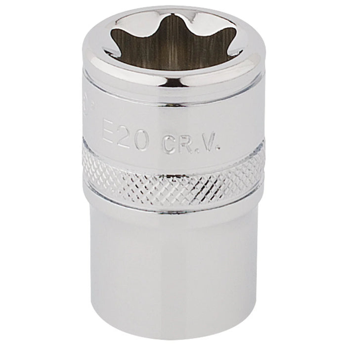Draper Expert TX-STAR® Socket, Sq. Dr., E20 1-3