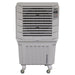 Sealey Commercial Portable Air Cooler SAC125 Sealey - Town Tools 