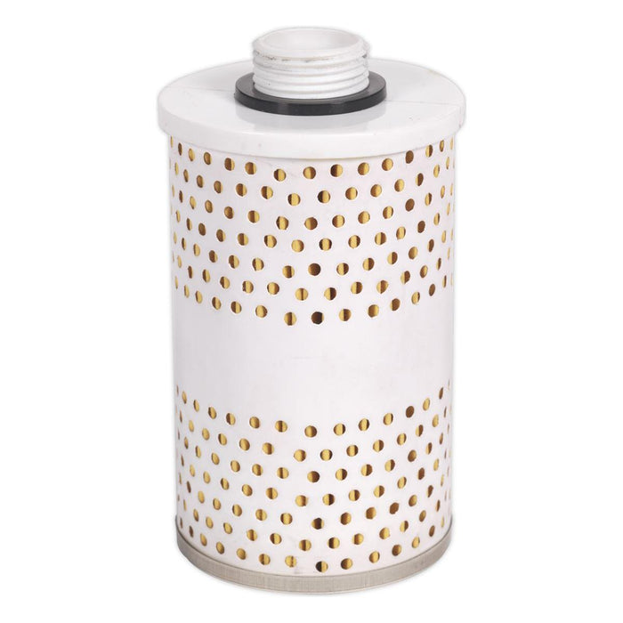 Sealey Filter for TPF01 TPF01.F Sealey - Town Tools 