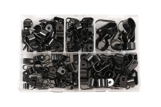 Connect Assorted Nylon P Clips Box 160pc - CPL