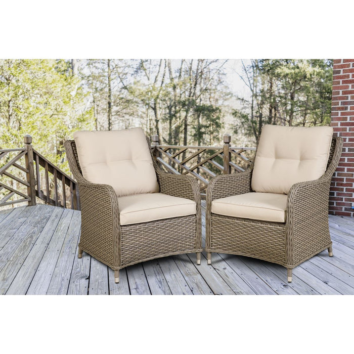 Dellonda Chester Rattan Wicker Outdoor Armchairs 2pc DG69