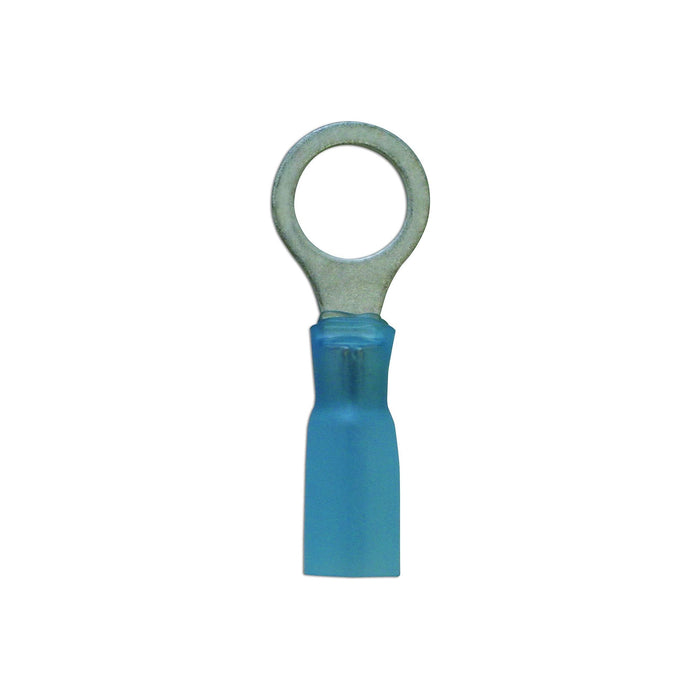 Connect Blue Heat Shrink Ring Terminal 8.4mm 25pc 30198 Tool Connection - Town Tools 