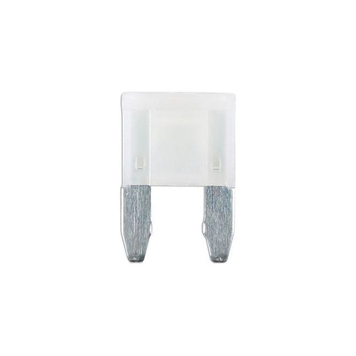 Connect LED Mini Blade Fuses 25A 25pc Connect - Town Tools