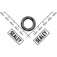Sealey Piston Gland APS1000-68
