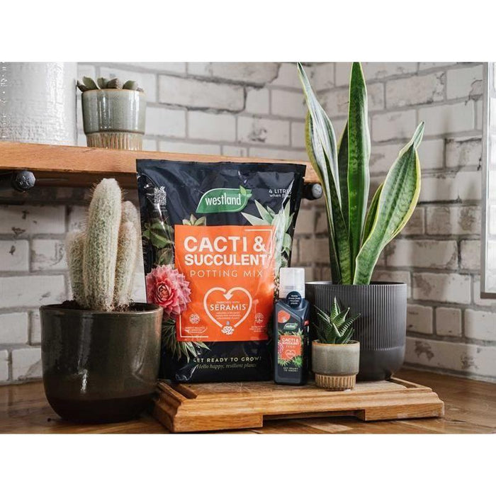 Westland Cacti & Succulent Potting Mix 4 litre Westland - Town Tools
