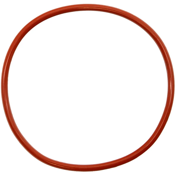 Sealey O-ring for Cylinder