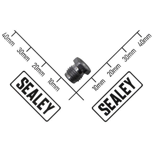 Sealey Air Valve Screw