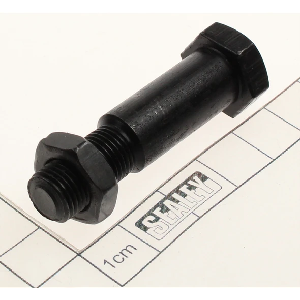 Sealey Screw
