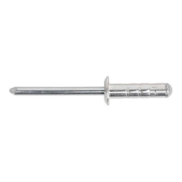 Sealey Clip Strip Deal - Aluminium Rivets RVSET Sealey - Town Tools 