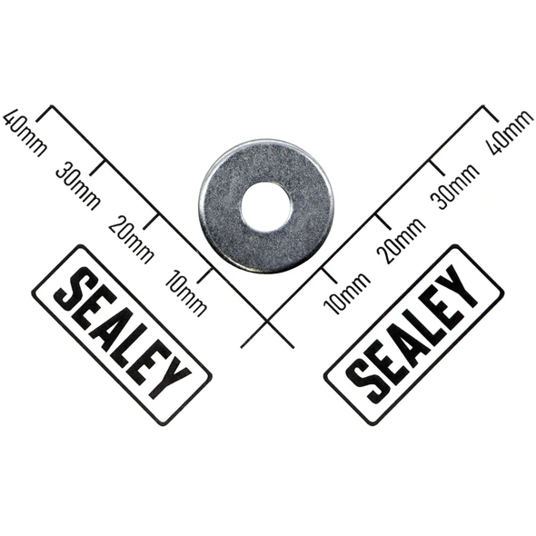 Sealey Washer