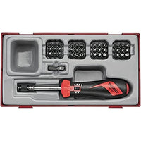 Teng Tools Torque Screwdriver Set TT1 38 Pieces