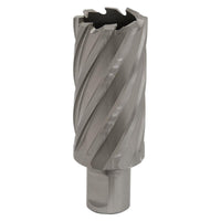 Sealey Rotabor Cutter HSS31mm Cut Depth 50mm RBHSS31L