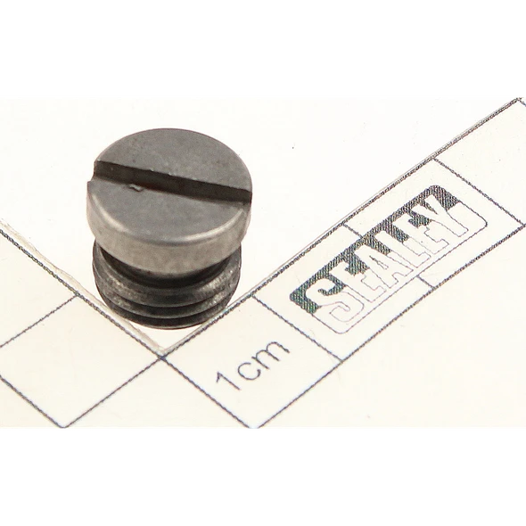 Sealey Guide screw