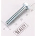 Sealey Handle screw