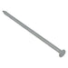 Forgefix Batten Nails Galvanised 65 x 2.65mm (2.5kg Bag) ForgeFix - Town Tools