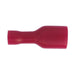 Sealey Clip Strip Deal - Red Terminals RTSET Sealey - Town Tools 