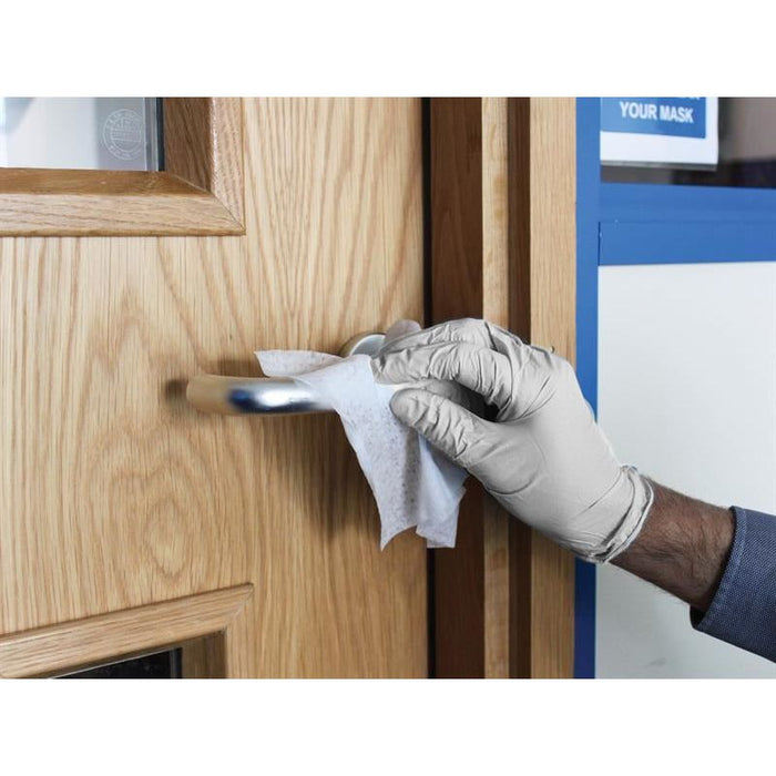 Scan Vinyl Gloves - L (Box 100) Scan - Town Tools