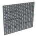 Sealey Composite Pegboard 2pc S0765 Seigen by Sealey - Town Tools 