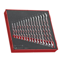 Teng Tools Combination Spanner Set FOAM2 15 Pieces