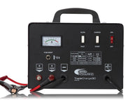 Ring 30 Amp 12V/24V Bench Charger/Starter - RCBT30