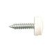 Connect Self Tapping Screws 8 x 3/4" White Cap 100pc 31538 Tool Connection - Town Tools 